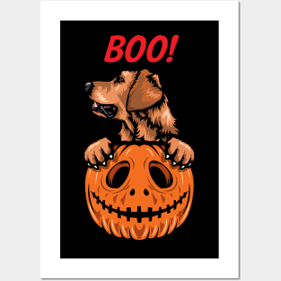 Halloween Pumpkin Golden Retriever Posters and Art